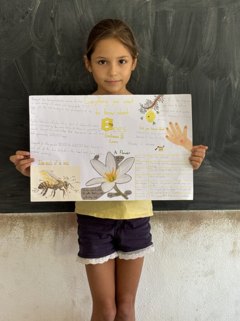 Propuesta Educativa Galeria 7