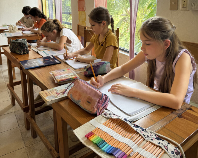 Propuesta Educativa Primaria