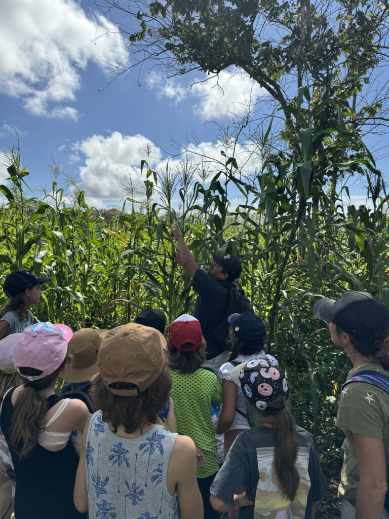 Galeria Preescolar 2